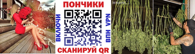 Продажа наркотиков Фатеж ГАШИШ  Каннабис  Псилоцибиновые грибы  Меф  СК 